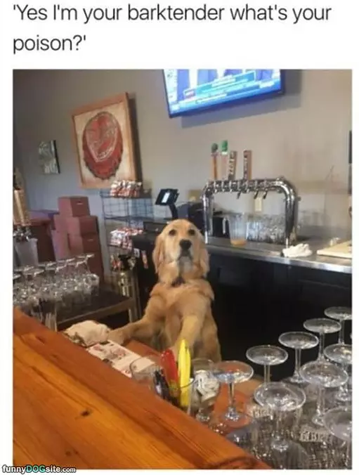What Would You Like