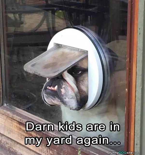 Darn Kids