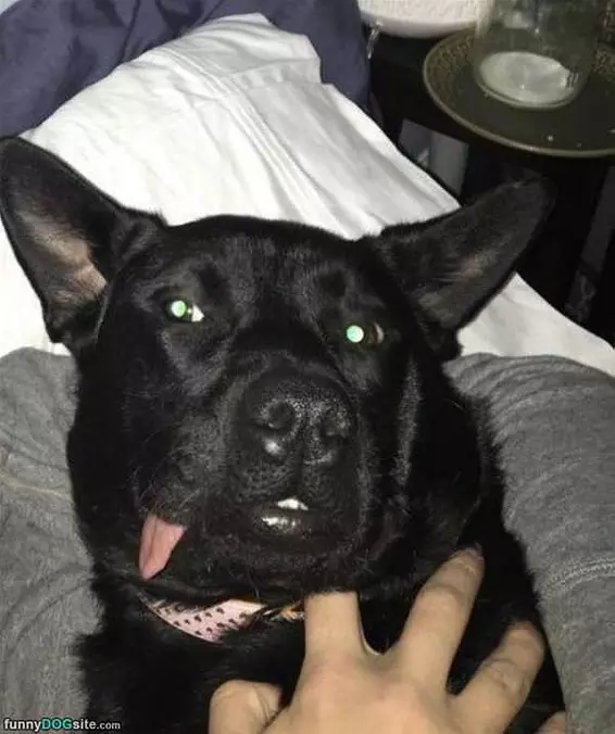Tongue Out