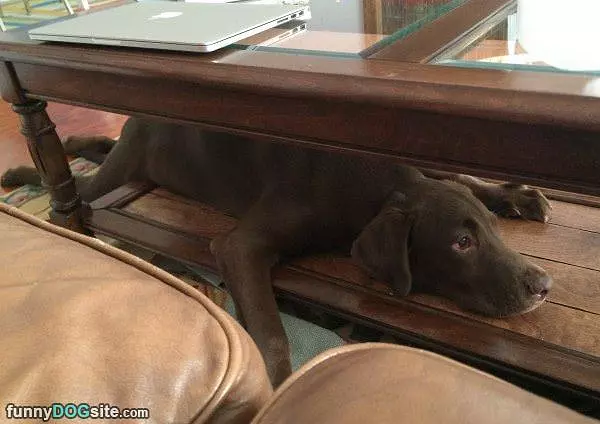 So Pooped Out