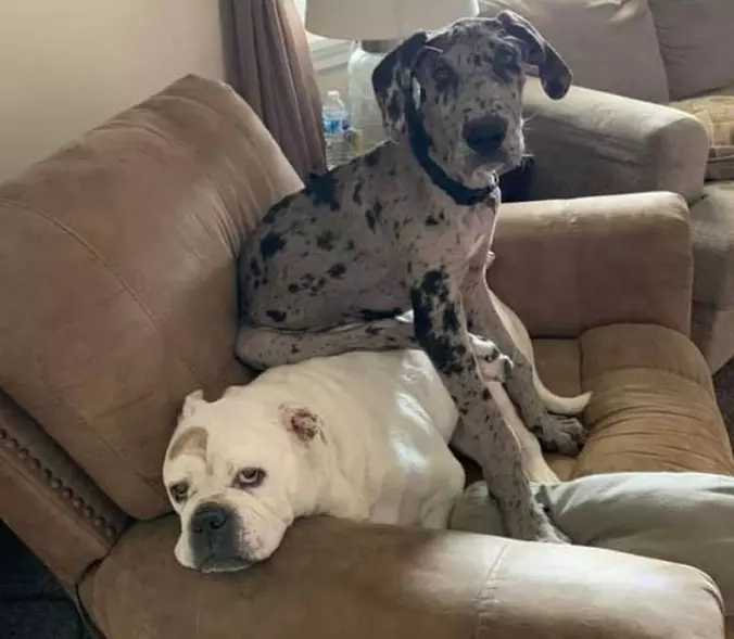 Sitting Around