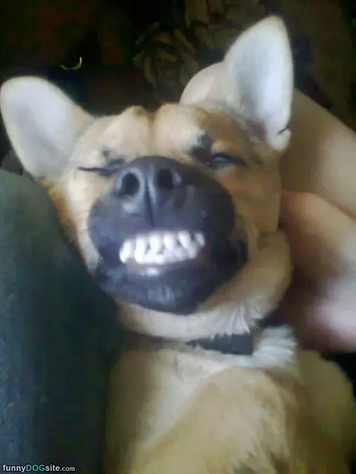 Huge Smile