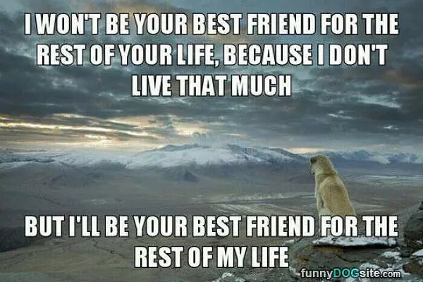 Your Best Friend