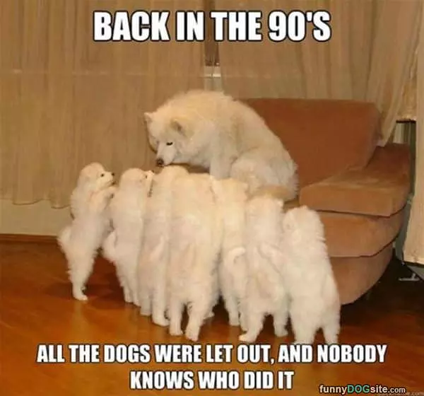 Back In The 90s