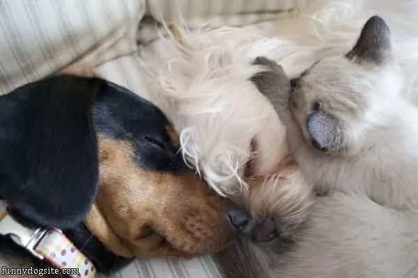 Sleep How We Want