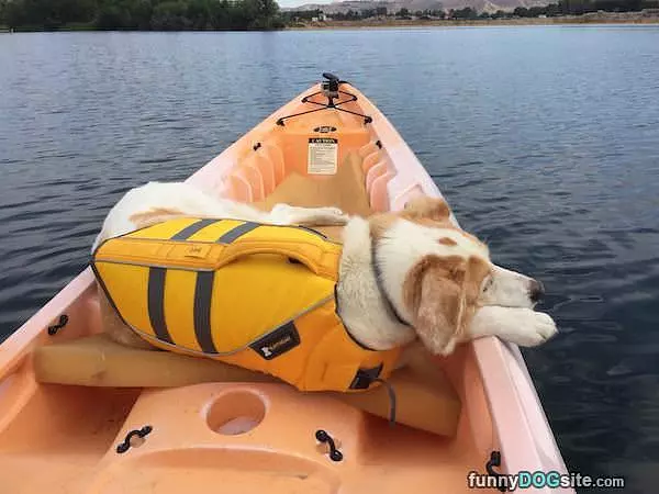 Fun Day On The Boat