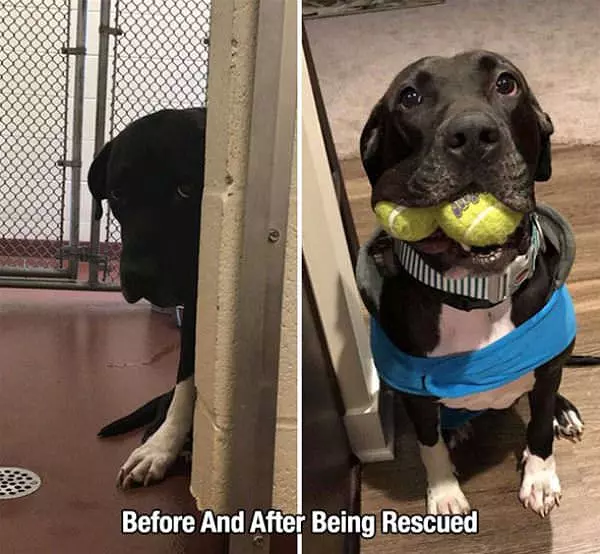 Before And After