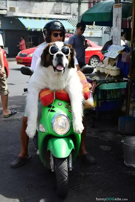 On A Bike Ride