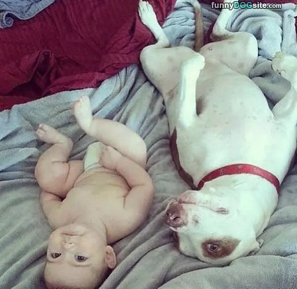 Me And My Human