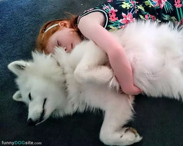 Cuddlers