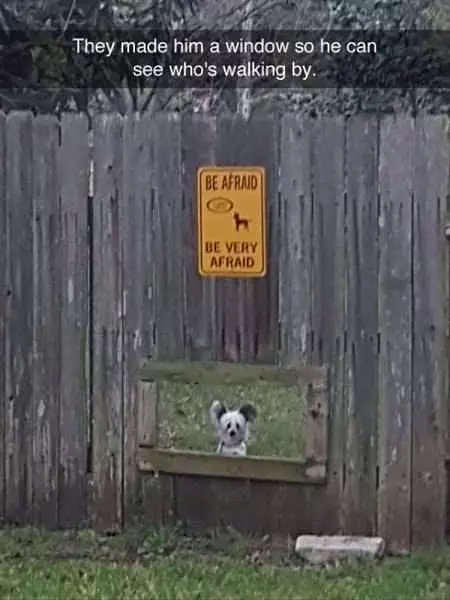 Be Very Afraid