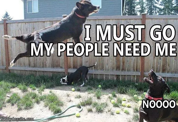 I Must Go