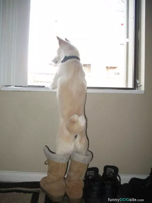 Got My Boots On