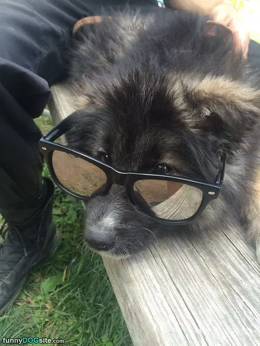 I Can See Really Well
