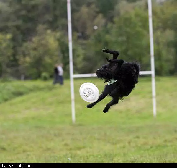 Playing-frisbee