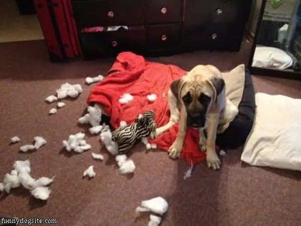 It Wasnt Me