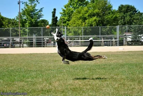Epic Fetch