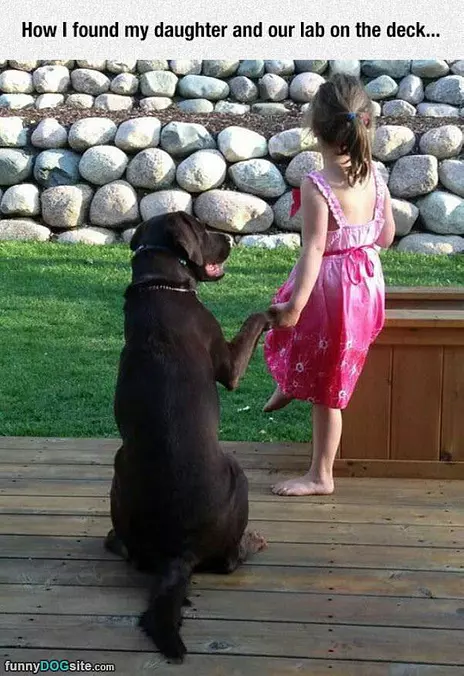 Loving Lab