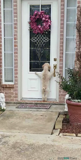 Hey Is Anyone Home