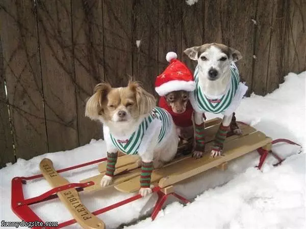 Ready For Christmas