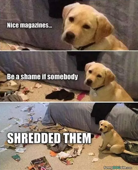 Nice Magazines You Have There