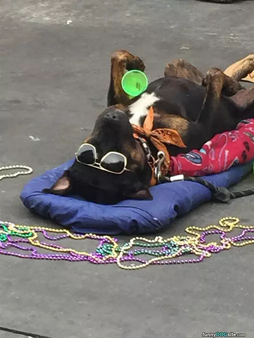 Relaxed On My Back
