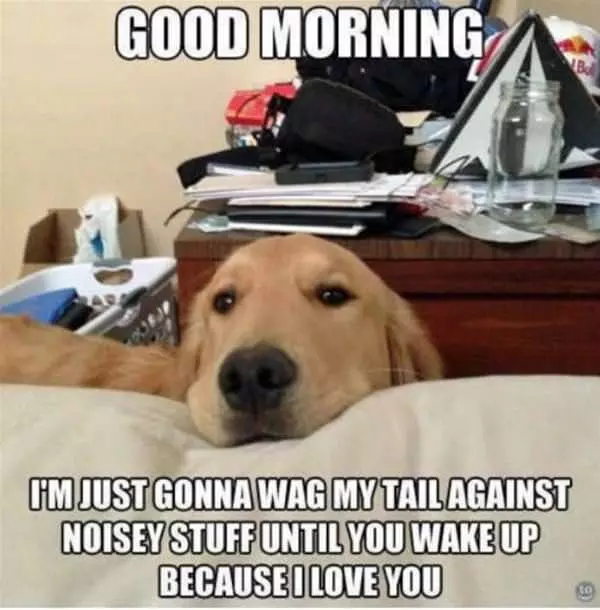 Good Morning