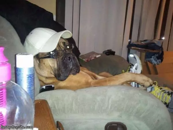 Just Watching The Game