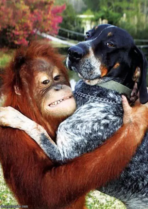 Me And My Buddy