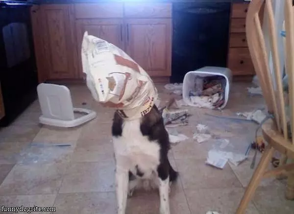 Every Last Drop Of Food