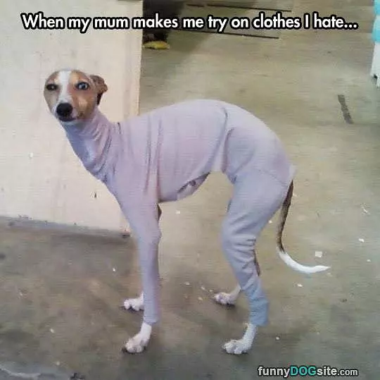 Clothes I Hate