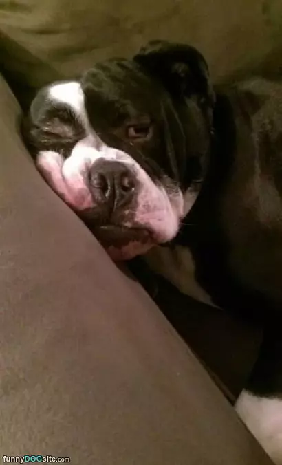 Soooo Sleepy