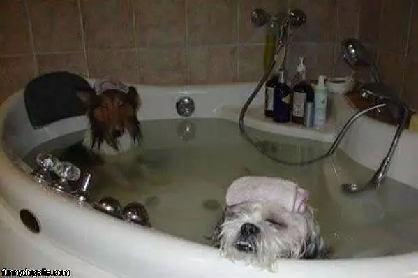 Its Bath Time