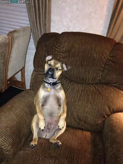 You Talkin To Me