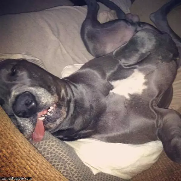 I Am So Sleepy