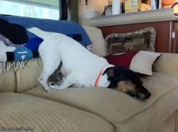 How I Sit