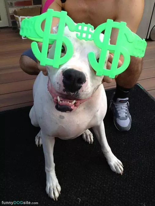 Cash Money