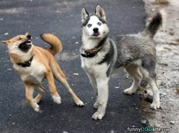 Whaaaaaaaaat You Say