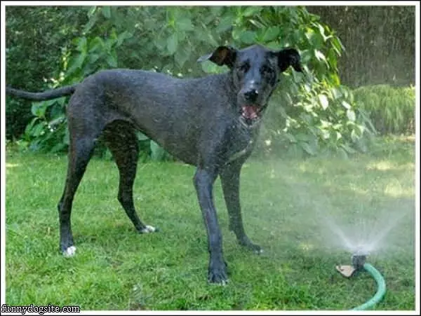 How To Cool Off In The Summer