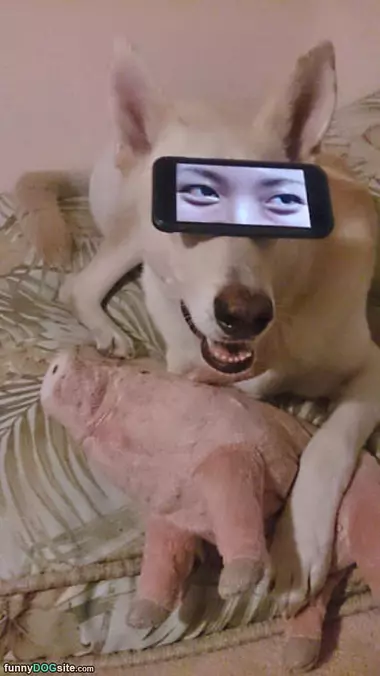 Nice Eyes