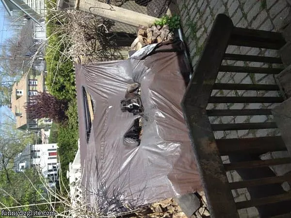 Wood Pile Bed