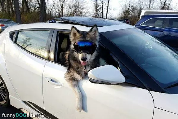 Get In Loser