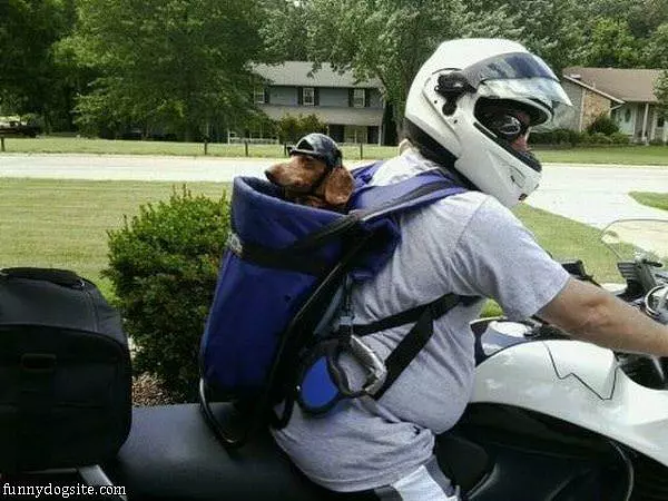 Time For A Ride