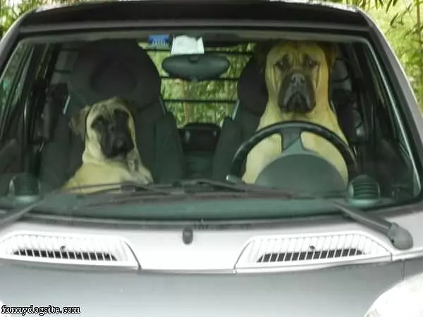 Going For A Ride