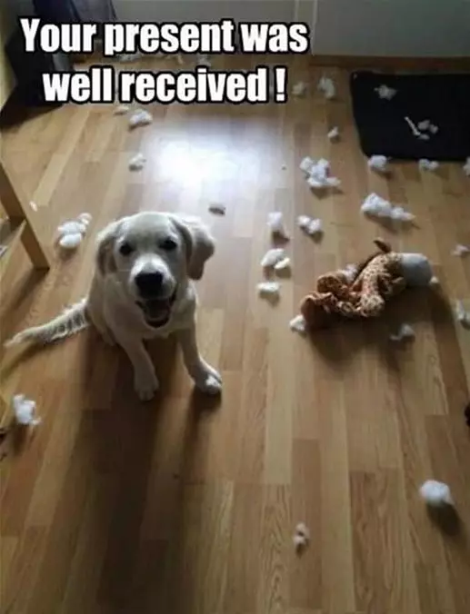 Present Was Well Received