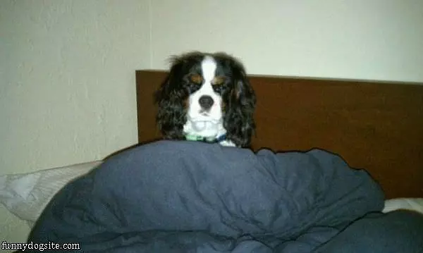 Dont Wake Me