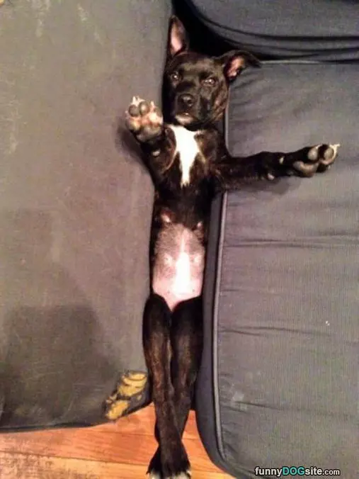 Couch Surfing