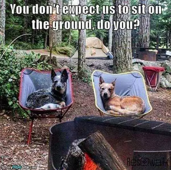 Not Sitting On The Ground