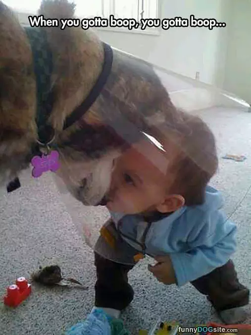 Gotta Boop