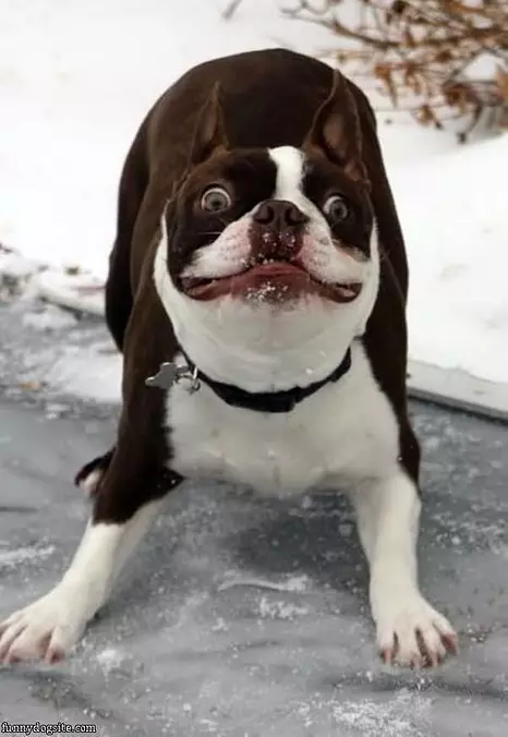 Ready To Play Now